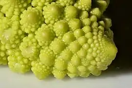 Encore d'autres détails du chou romanesco, mais tous les mêmes.