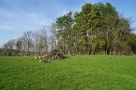 Site du puits de Champ sur la Pierre à Grozon.