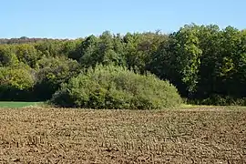 Terril du puits no&nbsp;3.