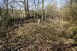 Emplacement du puits avec un piézomètre.