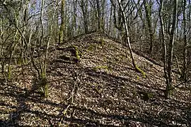 Le terril du puits Sainte-Magnance.