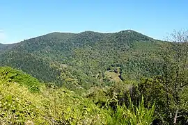 Les trois crêtes, de gauche à droite : la Planche des Belles Filles, la tête de la Charborue et la tête des Cèpes.