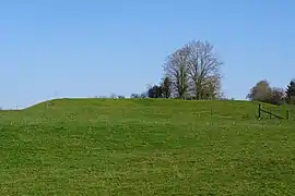 Le terril du puits de la Grille.