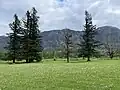 Prairie arborée dans le sud du parc au printemps (mai), la neige s'accroche sur les collines.