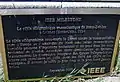 Image Plaque le Direct