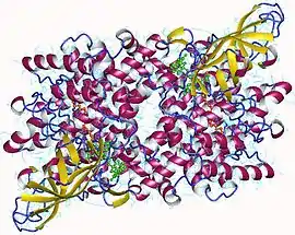 Image illustrative de l’article Acyl-coenzyme A déshydrogénase