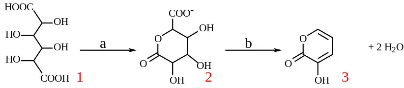 Conversion de l'acide mucique (1) en 3-hydroxy-2-pyrone (3) sous l'action d'hydrogénosulfate de potassium à 160&nbsp;°C pendant quatre heures (a) puis d'acide chlorhydrique jusqu'à pH = 7 (b).