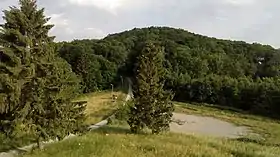 Markovac (Daruvar)