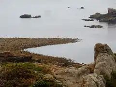 Queue de comète située dans la partie nord-est de la pointe de Primel