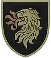 3e&nbsp;insigne, depuis le 13 août 2023 (version de campagne, aux couleurs moins visibles).