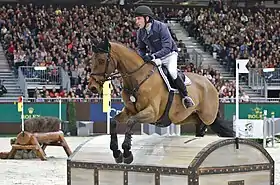 Maverick McNamara (2004-) monté par Felix Vogg, au CHI de Genève en 2014.