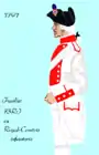 73e&nbsp;régiment d’infanterie de ligne de 1791 à 1796