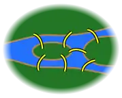  le réseau des sept ponts de la ville