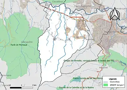 Carte de la ZNIEFF de type 1 sur la commune.