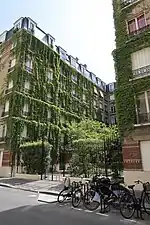 Mur végétalisé au no&nbsp;9.