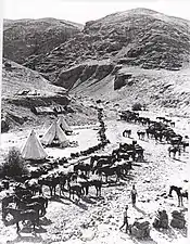 Cavaliers australiens dans la vallée du Jourdain, 22 août 1918.
