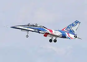 Vue de l'avion.