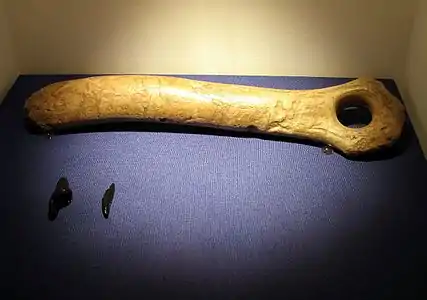 Magdalénien -Musée archéologique de Constance (de) (Allemagne)