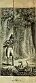 Édouard de Montulé, illustration pour le Voyage en Amérique, en Italie, en Sicile et en Égypte pendant les années 1816, 1817, 1818 et 1819