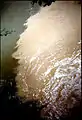 Effluents rejetés dans l'Aa par une papeterie (Blendecques, octobre 1990). C'est ici que commence la pullulation des bactéries filamenteuses, qui se poursuit sur 10&nbsp;km environ.