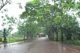 Montecarlo (Misiones)
