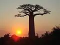 Coucher de soleil