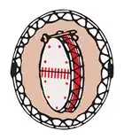 logo de Gouvernement de la nation crie