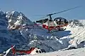 Lama et Écureuil au Lauberhorn en 2007