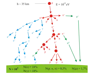 Un arbre logique représentant la production de particules.