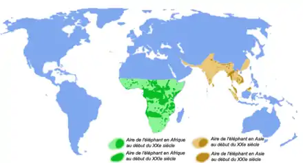 Carte du monde montrant la réduction des populations d'éléphants entre le début du XXe siècle et le début du XXIe : en vert l'aire de répartition de l'éléphant d'Afrique (plus de la moitié inférieure du continent africain au départ, taches restantes couvrant en gros moins d'1/3) et en ocre l'aire de l'éléphant d'Asie (toutes l'Inde et une bonne partie de l'Asie du sud au départ, quelques rares taches restantes)