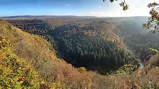 La vallée du Lison depuis le belvédère du Bois de Chataillon.