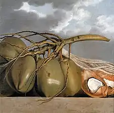 Nature morte avec noix de coco.