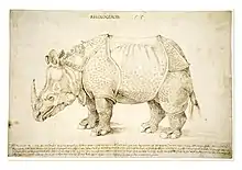 Dessin à la plume d'un rhinocéros.