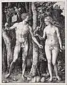 Adam et Ève, gravure de 1504