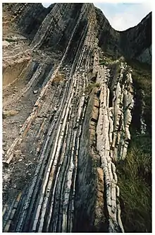 Hypostratotype de la transition Crétacé-Tertiaire (couche jaune en relief), flysch d'Algorri à Zumaia.