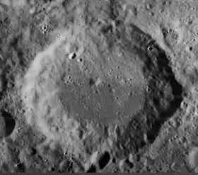 Image illustrative de l'article Aliacensis