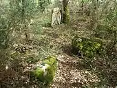 Les alignements de Belanno.