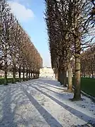 Une allée sous la neige.
