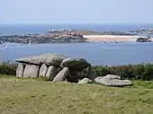 Allée couverte de l'île Milliau