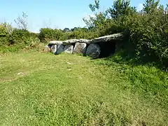 Allée couverte de Kergüntuil