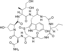 α-Amanitine, une amatoxine présente notamment dans l'amanite phalloïde
