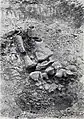 1909: découverte, en Afrique orientale allemande, près de Lindi, du fossile qui quelques années plus tard allait être attribué au genre Brachiosaurus et, en 1988 rebaptisé en Giraffatitan.