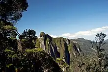 Une falaise abrupte partiellement couverte de forêt surgissant des nuages au-dessus de la forêt en-dessous.