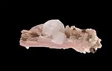 Analcime sur sérandite du mont Saint-Hilaire, Québec (4,8&nbsp;×&nbsp;2&nbsp;cm).