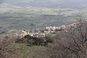 Anela