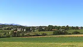 Angos