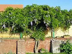 Des vestiges du mur d'enceinte