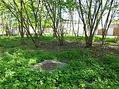 Le puits et son environnement.