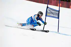 Image illustrative de l’article Anna Swenn-Larsson