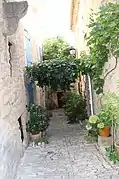 Une ruelle de verdure.